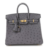 Ostrich Birkin 25 Gris Agate