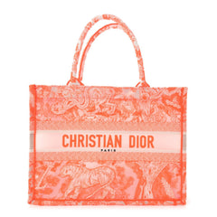 Transparent Canvas Embroidered Medium Dioriviera Toile De Jouy Book Tote